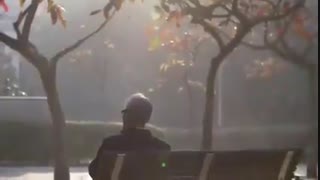 چقدر، قدر این دستارو میدونی؟