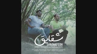 آهنگ جدید حامد تکلو و احمد علیزاده به نام شقایق منتشر شد..