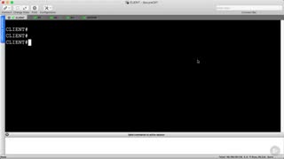 دوره ﻿ICMP - نسخه ی نمایشی: پینگ پایه در عمل