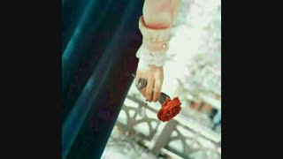 چالش فیــلی