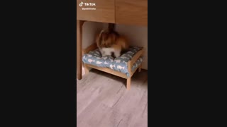 وقتی باران میره بخوابه+_+