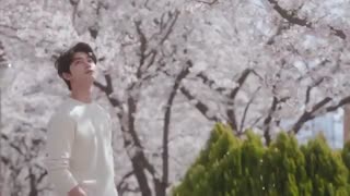 موزیک ویدیو Spring Memories از N.Flying(ورژن اصلی)