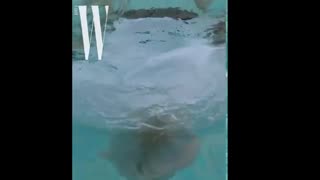 Wkorea.ParkChanYeol