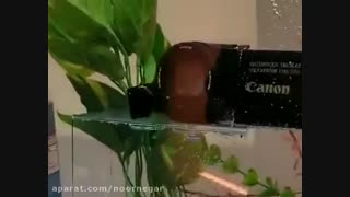 معرفی  دوربین فیلم برداری VIXIA HF-w11 کانن CES 2019