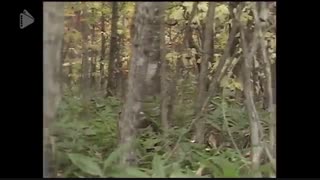 سریال ژاپنی از سرزمین شمالی _ قسمت 1