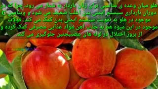 خواص خوردن هلو در تابستان برای بدن