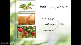 Decis | دسیس | بهترین حشره کش مزارع و باغات