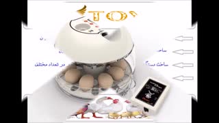 فروش تضمینی تخم نطفه دار و دستگاه جوجه کشی