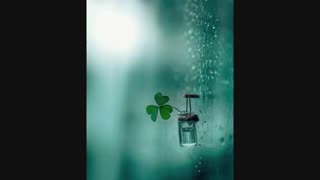 آدمها فکر میکنند ؛ اگر یک بار دیگر متولد شوند ، جور دیگری زندگی می کنند...