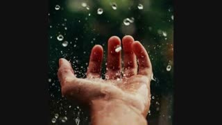 آنچه انسان‌ها را از پا در می‌آورد، رنج‌ها و سرنوشت نامطلوبشان نیست بلکه...