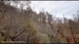 دانلود تیزر رسمی فیلم "بنفشه آفریقایی"