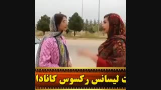 وقتی با ی مشت احمق میری سفر
