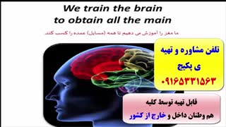 کدینگ لغات تخصصی آیلتس و تافل -کدینگ لغات 504- بدون فراموشی