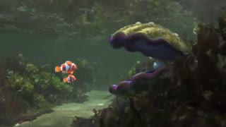 finding dory