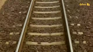 ولایت فقیه در دو روایت