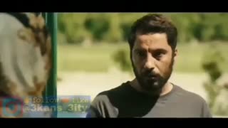 شماره دادن نوید محمدزاده