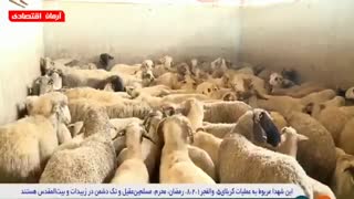 اخبار اقتصادی چهارشنبه 5 تیر 1398