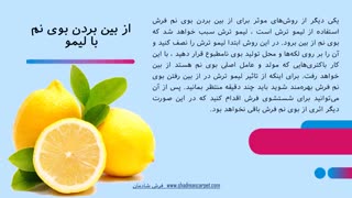 استفاده از روش‌های طبیعی و خانگی جهت رفع بوی نم از فرش