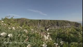 تدوین پروژه های فیلمبرداری،تدوین فیلم و ساخت کلیپهای تبلیغاتی،اجاره تجهیزات سینمایی