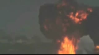 حمله پرندگان به جنگنده هندی