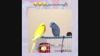 بزرگترین رازی که دارید چیه؟؟؟