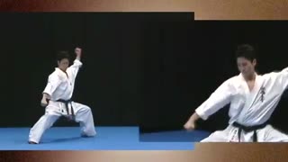 PinanSono_Go