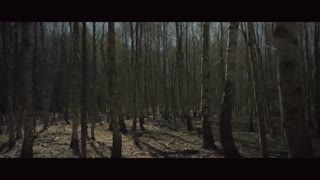 آخرین شعاع آفتاب زمستانی (همایون شجریان)