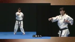 Tsukino