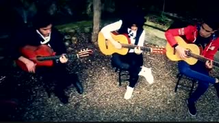 ویدئو کلاسیک ایرانی امیدشیرودی گیتار شایان سنایی