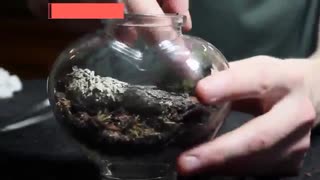 پکیج آموزش کامل ساخت تراریوم