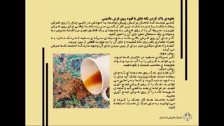 از بین بردن لکه از فرش ماشینی