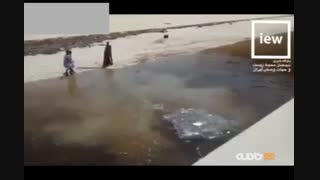 زنده‌گیری یک تمساح ۳/۵ متری در سیستان و بلوچستان