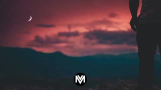 ♢[☁  jυɴɢle ❦]⌔