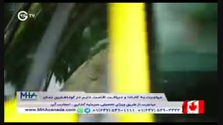 دانلود قسمت 176 سریال فضیلت خانم دوبله فارسی