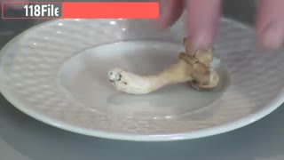 آموزش تولید انبوه قارچ های خوراکی به روش ساده