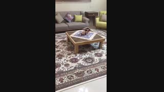 رضایت مشتری عزیزمون قسمت دوم