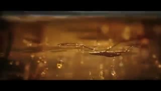 مرسدس بنز G Class 2018 قوی تر از زمان