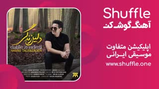 آهنگ جدید دلیل زندگی با صدای حمید طالب زاده