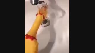 ازینا کجا میفروشن؟؟!