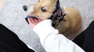 قسمت ششم VLOG بکهیون + زیرنویس فارسی چسبیده