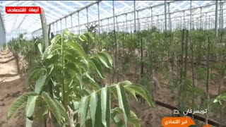 اخبار اقتصادی پنجشنبه 13 تیر 1398