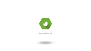 لوگو موشن | بهینا | کد 30013موشن ساز
