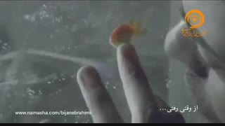 از وقتی رفتی...