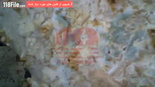 آموزش پرورش قارچ بابخار