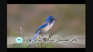 ترجمه تصویری سوره زمر