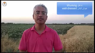 آی خونه دار بچه دار زنبیلت و وردار بیار صفت ببر:صفات برای woman