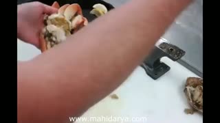 هر آنچه باید درباره نحوه تمیز کردن ، پاک کردن و خوردن خرچنگ بدانیم!