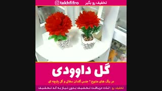 گل داوودی