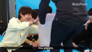 چالش بی تی اس با سگ ها