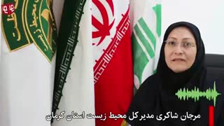 خبر شبانگاهی ۲۰:۲۰ - دوشنبه ۱۷ تیرماه ۹۸